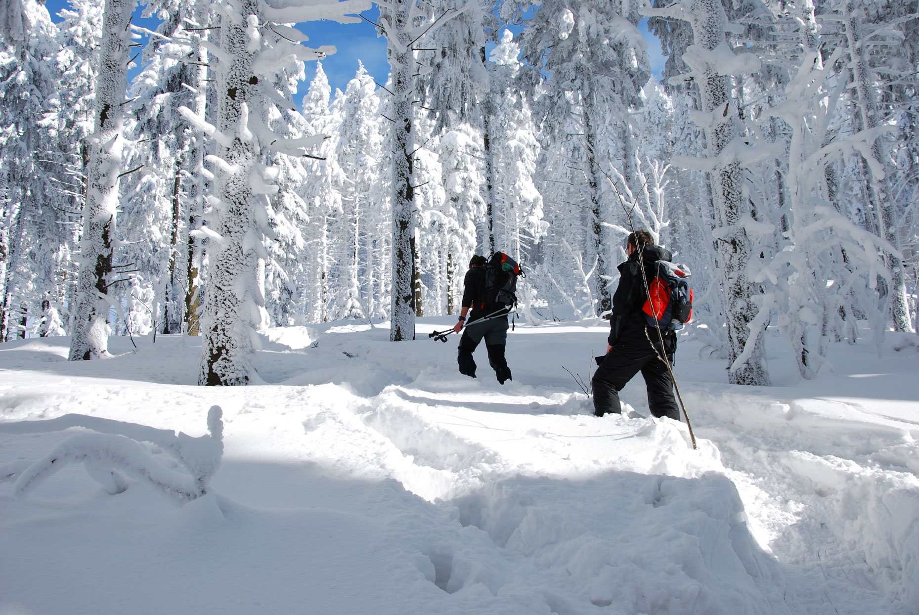 Wanderung durch Finsterau im Bayerwald